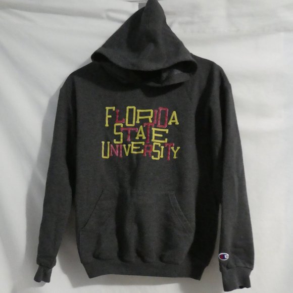 CHAMPION ECO FLEECE Future Friendly Youth X-Large (14-16) charcoal hoodie, GUC - Picture 1 of 16
